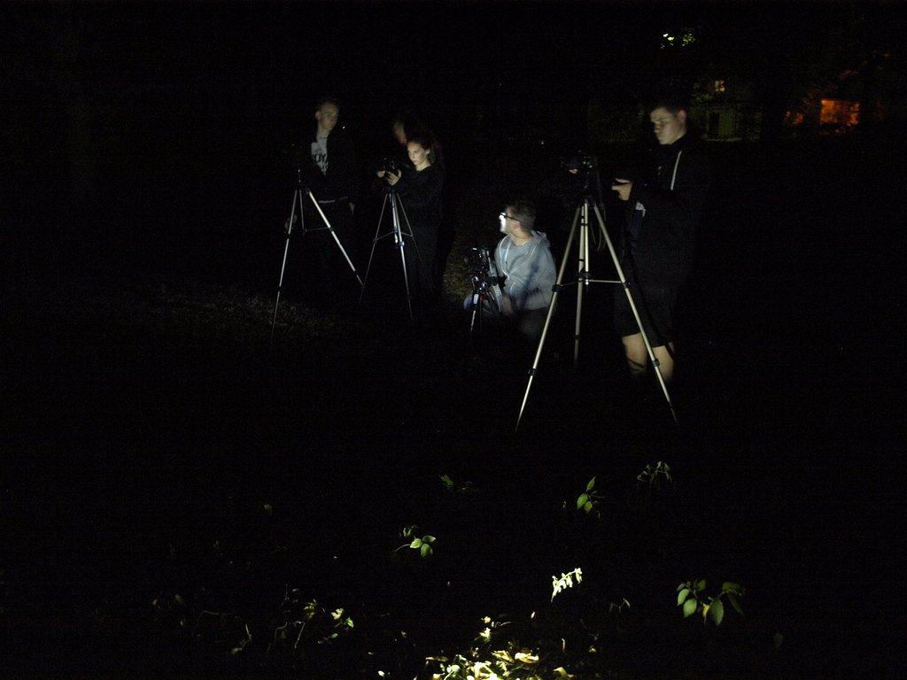 025.JPG