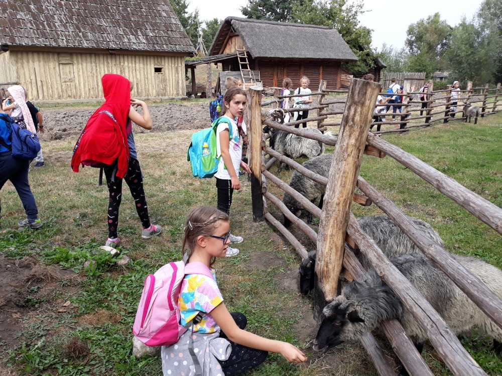 20180911_123652.jpg