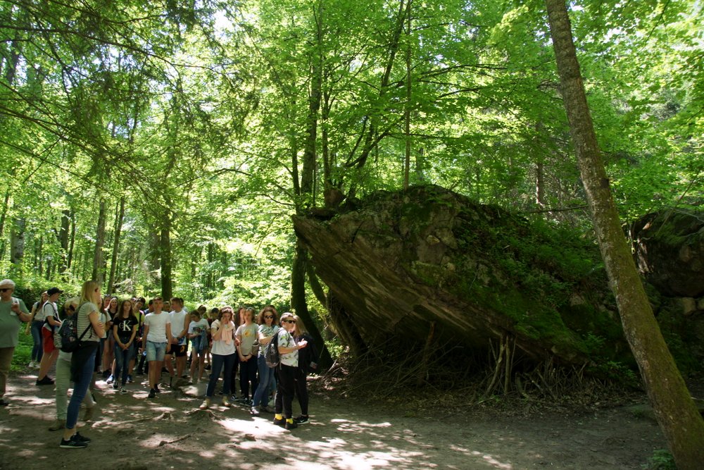 DSC01613.JPG