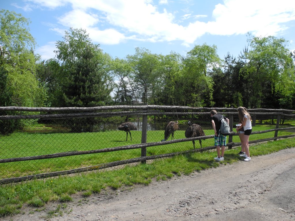 DSCN2234.JPG