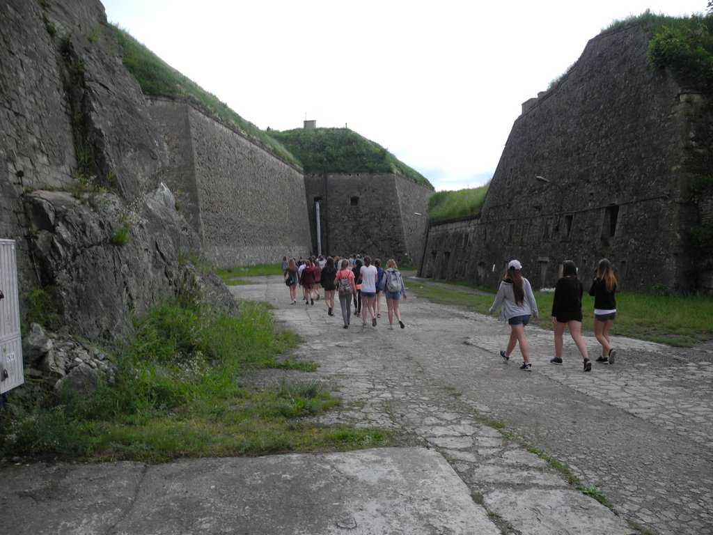 DSCN2331.JPG
