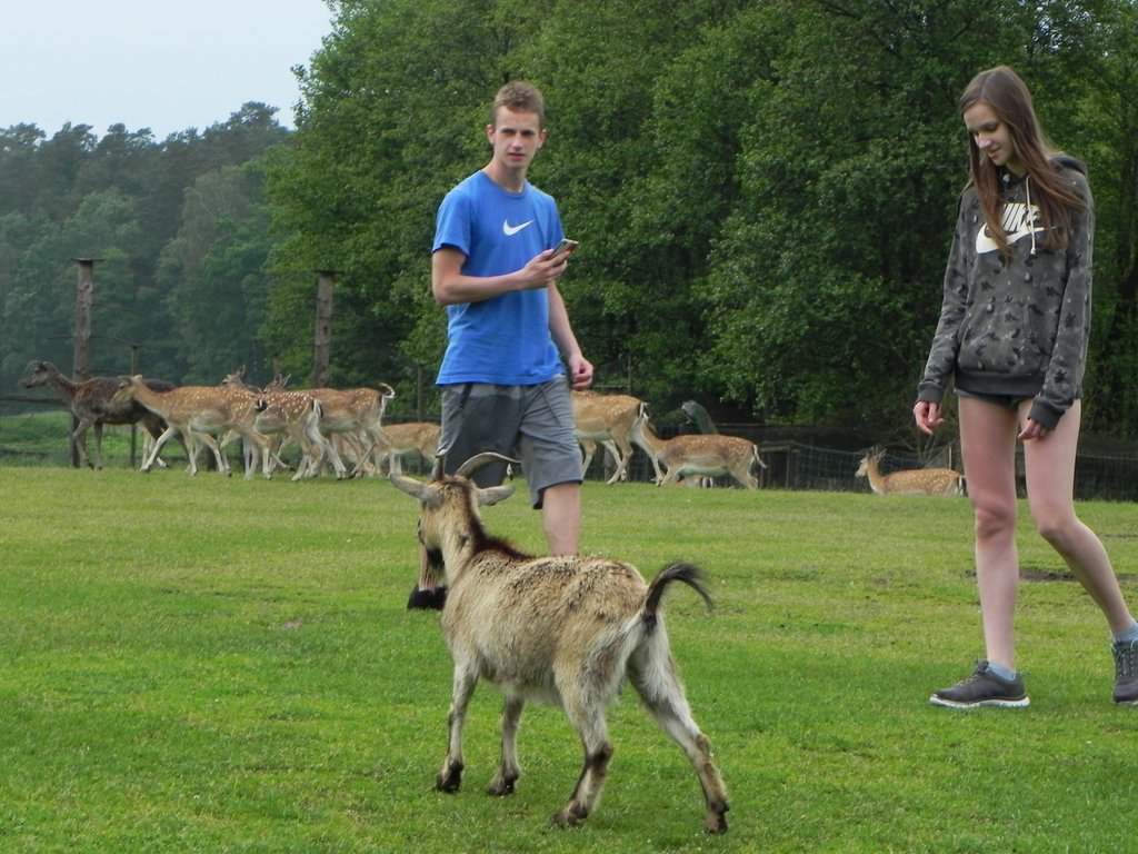 DSCN3151.JPG