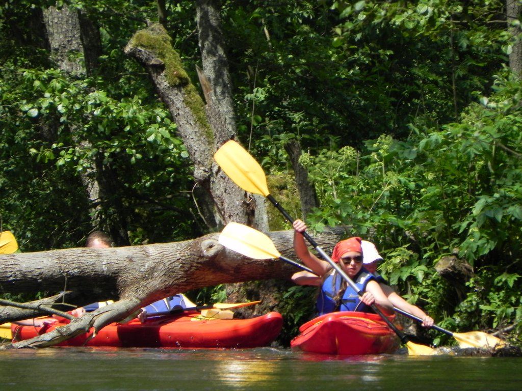 DSCN3273.JPG