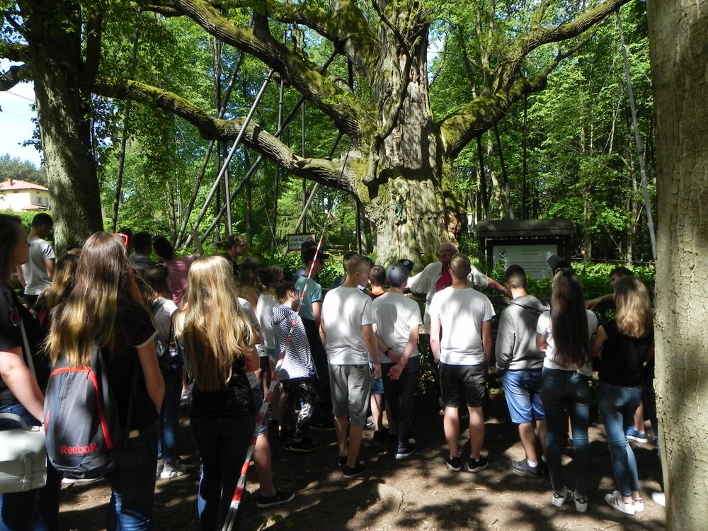 DSCN6387.JPG