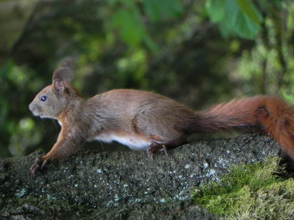 DSCN6459.JPG