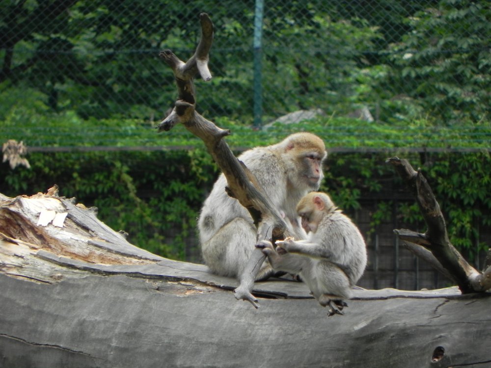DSCN6943.JPG