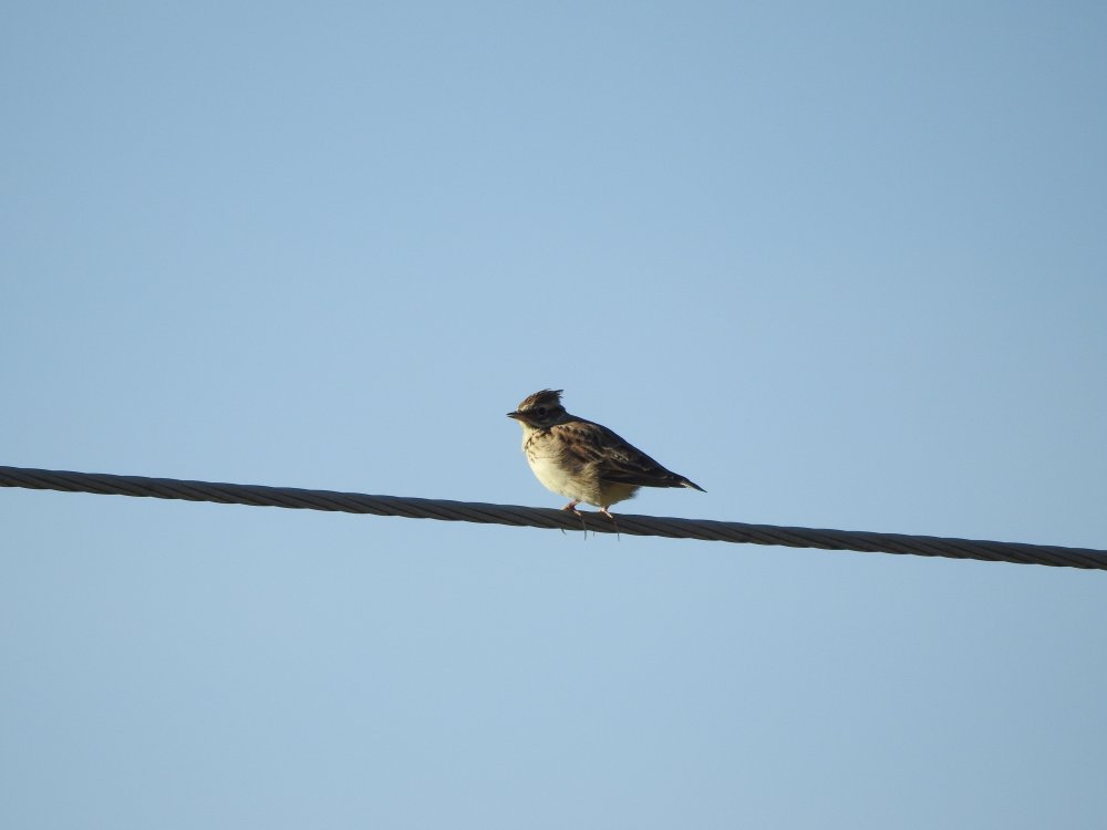 DSCN80342C2C.jpg