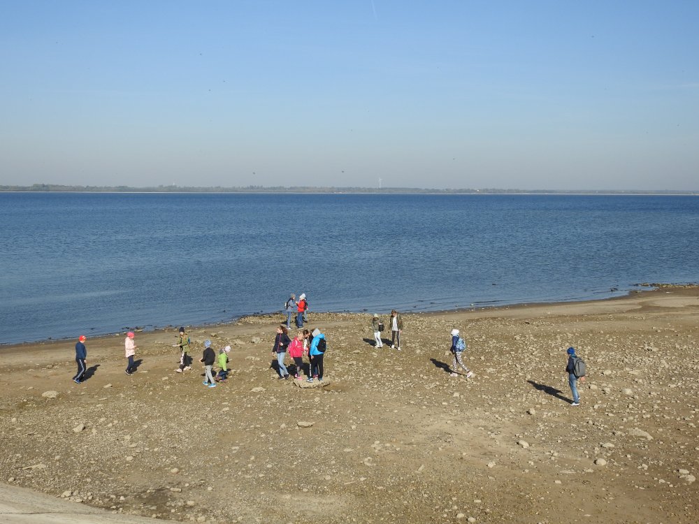 DSCN80362C2C.jpg