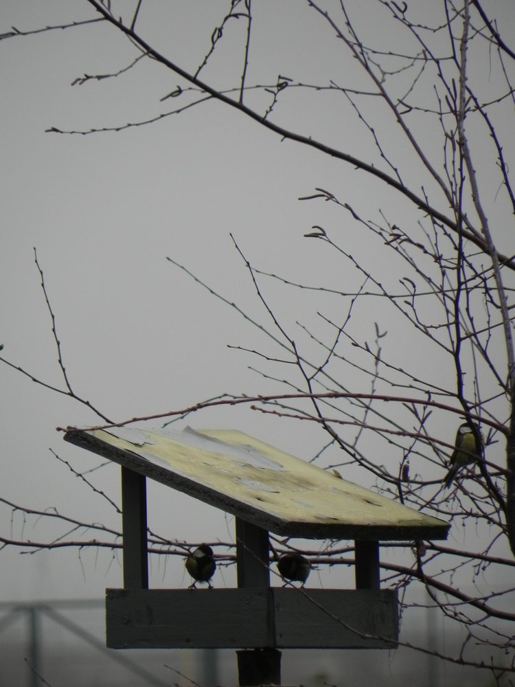 DSCN9667.JPG