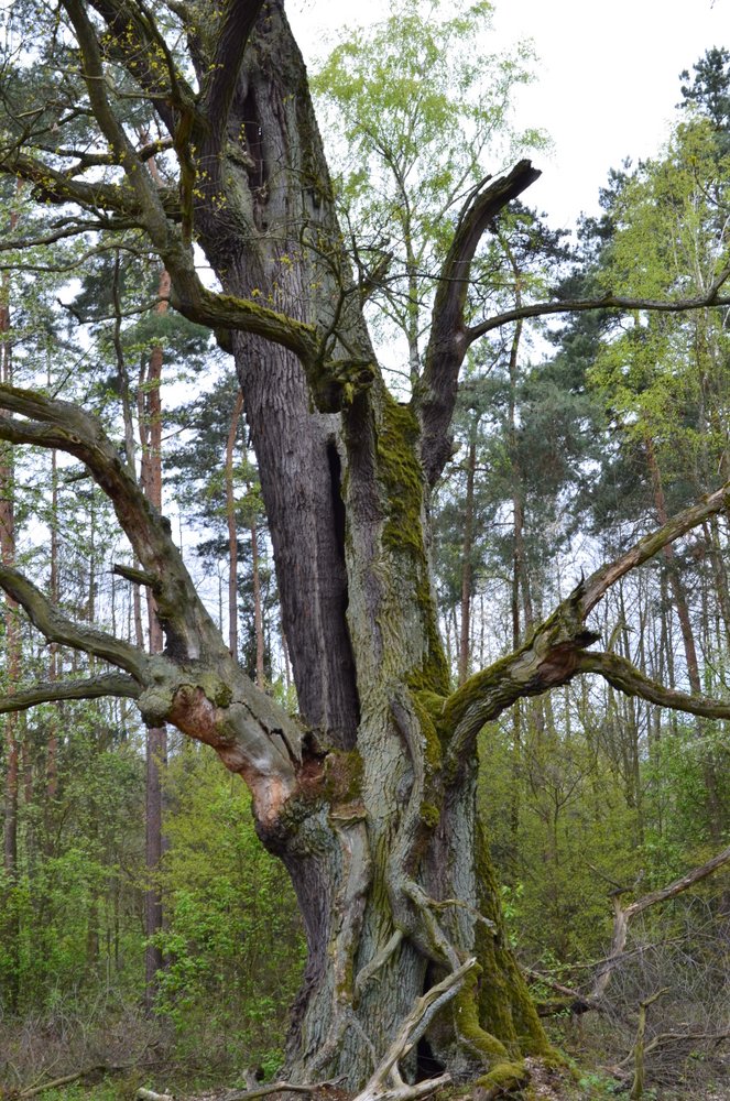 DSC_0616~0.JPG