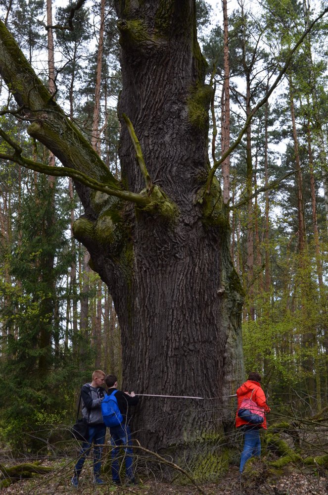 DSC_0617~0.JPG
