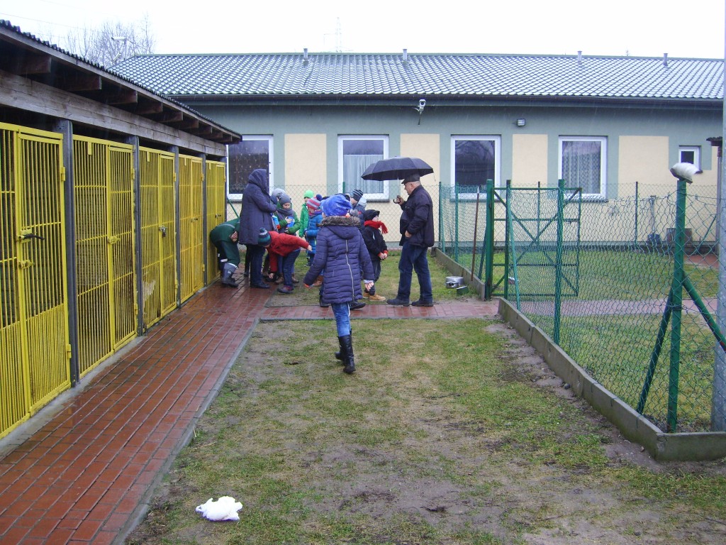 IMG_4880.JPG