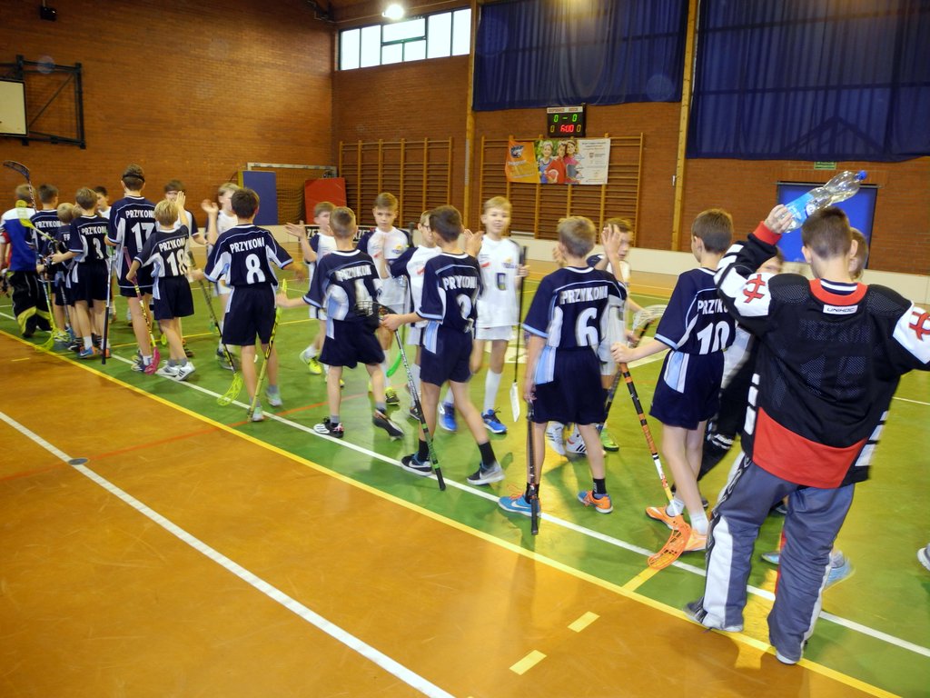 WLU_w_kat__Mlodzik-_6_12_2015r_2C_Niechanowo_029.JPG