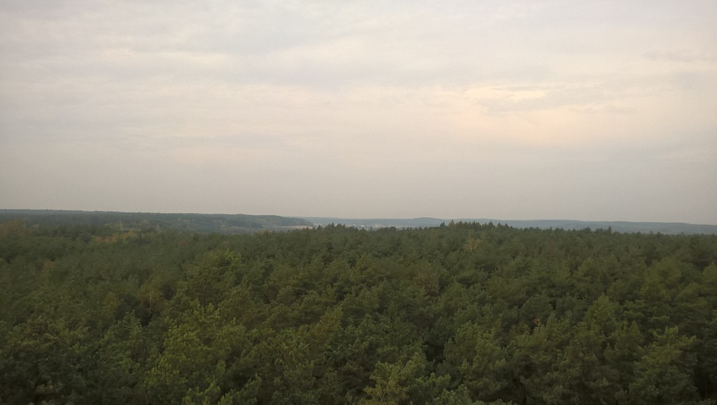 WP_20160928_10_36_01_Pro.jpg