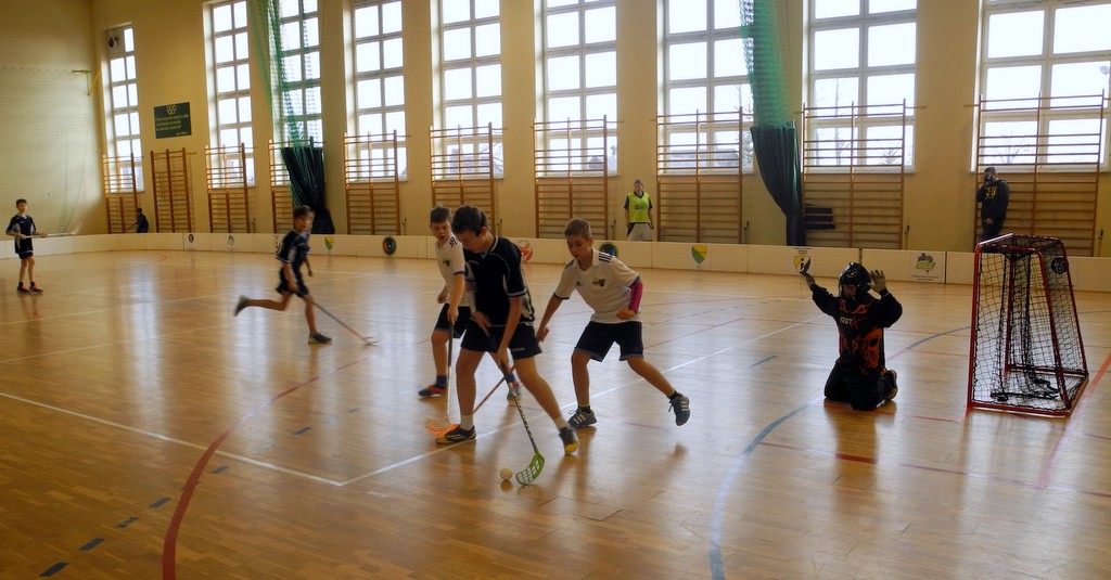 obraz_2015_032.JPG