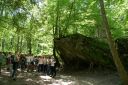 DSC01613.JPG