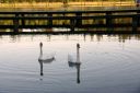 DSC01648.JPG