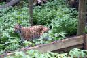 DSC01770.JPG