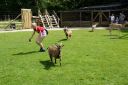 DSC01776.JPG