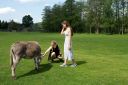 DSC01778.JPG