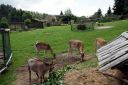 DSC01786.JPG
