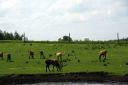 DSC01799.JPG