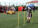 DSC03001.JPG