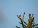 DSCN4274.JPG