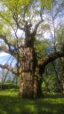 DSCN6388.jpg
