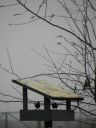 DSCN9667.JPG