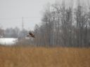 DSCN9840.jpg