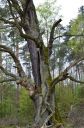 DSC_0616~0.JPG