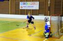 WLU_w_kat__Mlodzik-_6_12_2015r_2C_Niechanowo_042.JPG