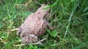 WP_20160529_09_11_23_Pro.jpg