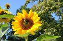 foto-012.JPG